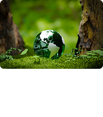 친환경성